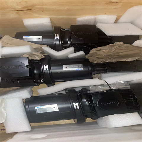 螺桿泵總成KTS 25-38-T-G 4kW (4)